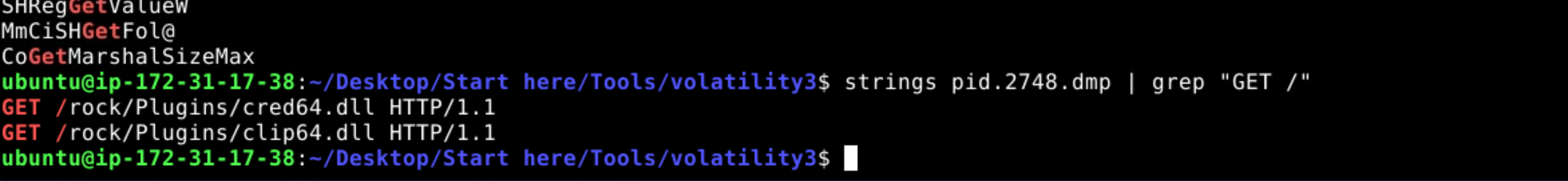 GET requests revealing two distinct files being downloaded